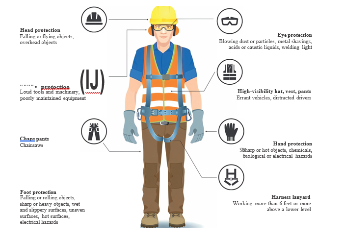 Personal Protective Equipment — Head, eye, ear, hand, foot and fall protection